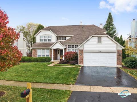 399 Wildberry Ln, Bartlett, IL 60103 photo 38