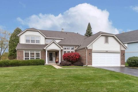 399 Wildberry Ln, Bartlett, IL 60103 photo 1