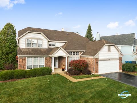399 Wildberry Ln, Bartlett, IL 60103 photo 37