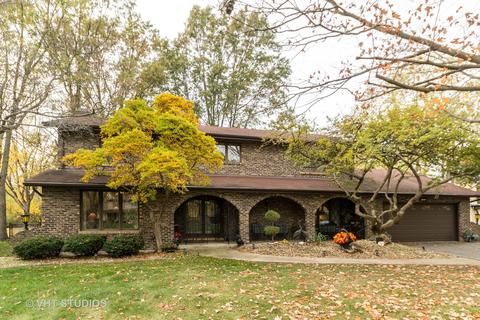 20908 Brookwood Dr, Olympia Fields, IL 60461 photo 1