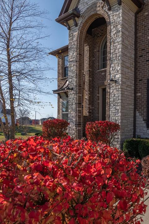 12916 Peppertree Dr, Plainfield, IL 60585 photo 5