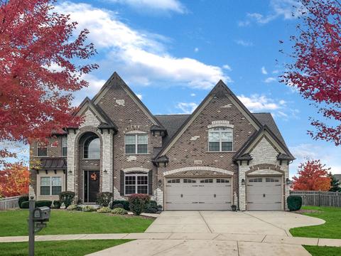 12916 Peppertree Dr, Plainfield, IL 60585 photo 1
