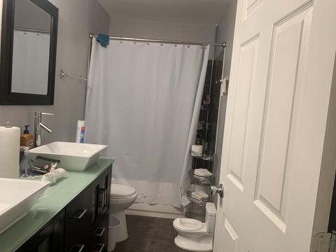 157 Deerpath Rd, Matteson, IL 60443 photo 9
