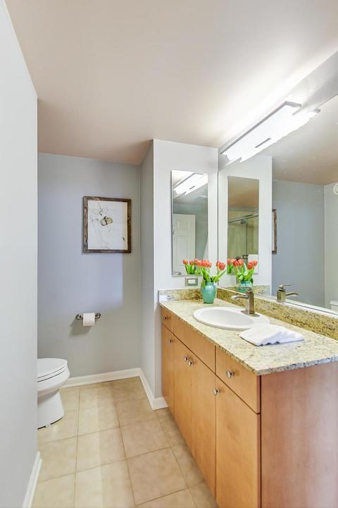 807 Davis St #710, Evanston, IL 60201 photo 10