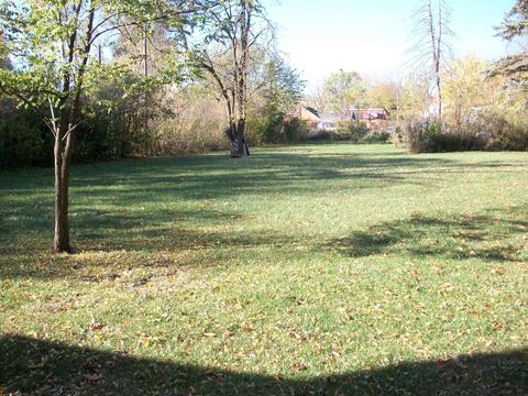 14930 Springfield Ave, Midlothian, IL 60445 photo 23