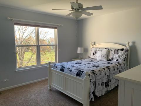 1462 Saddleridge Pl, Bartlett, IL 60103 photo 21