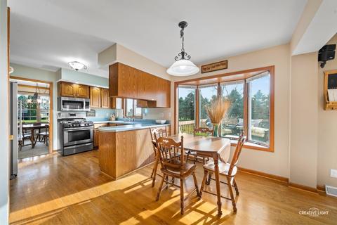 48 W101 Pine Tree Dr, Maple Park, IL 60151 photo 9