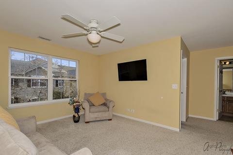 156 Durango Dr, Gilberts, IL 60136 photo 14