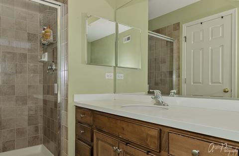 156 Durango Dr, Gilberts, IL 60136 photo 18