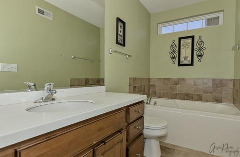 156 Durango Dr, Gilberts, IL 60136 photo 17