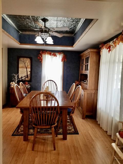 302 E Delaware St, Dwight, IL 60420 photo 11