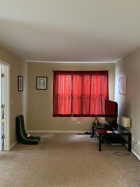 1901 Arbor Gate Dr, Plainfield, IL 60586 photo 12
