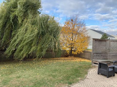 1901 Arbor Gate Dr, Plainfield, IL 60586 photo 27