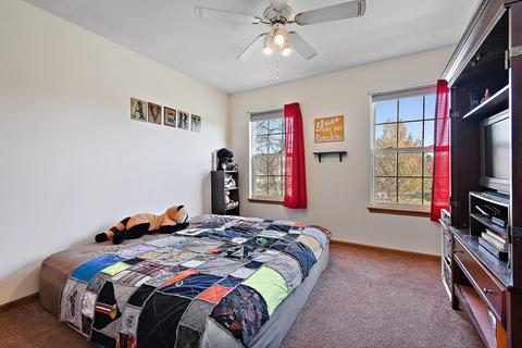 15930 S Arbor Dr, Plainfield, IL 60586 photo 18