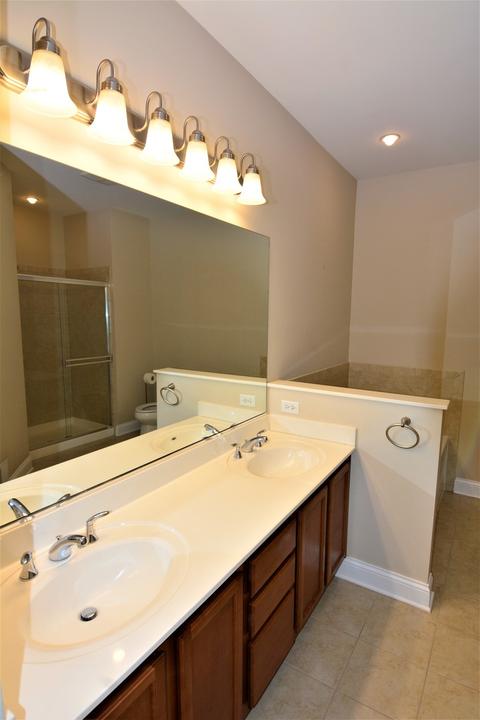 1209 Tuscany Dr, Streamwood, IL 60107 photo 8