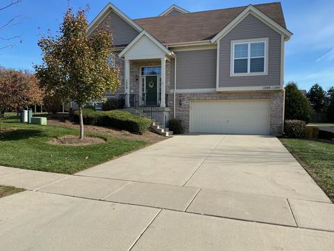 1209 Tuscany Dr, Streamwood, IL 60107 photo 1