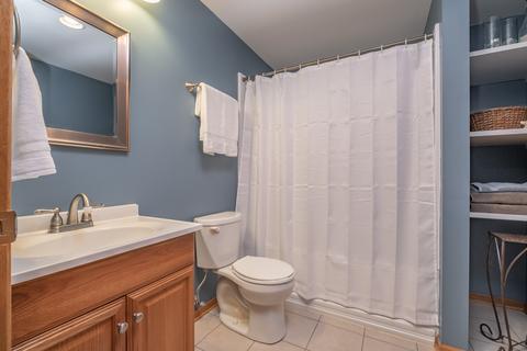 442 Grape Vine Trl, Oswego, IL 60543 photo 26