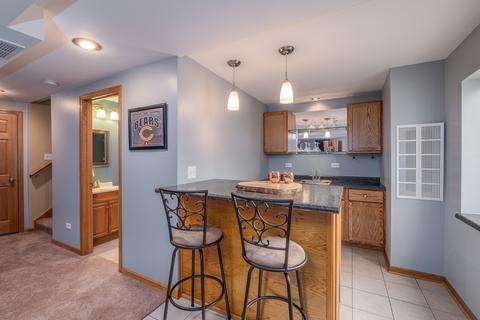 442 Grape Vine Trl, Oswego, IL 60543 photo 25