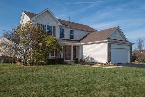 442 Grape Vine Trl, Oswego, IL 60543 photo 30