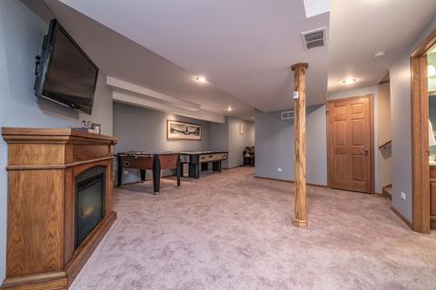 442 Grape Vine Trl, Oswego, IL 60543 photo 22