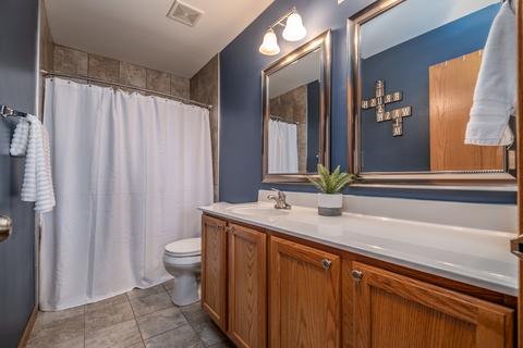442 Grape Vine Trl, Oswego, IL 60543 photo 21
