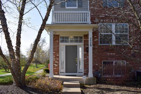 2529 Emily Ln, Elgin, IL 60124 photo 9