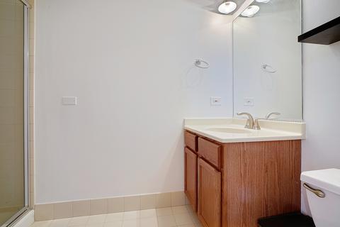 41 E 8th St #2603, Chicago, IL 60605 photo 12