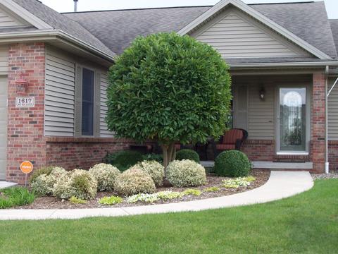 1617 Myra Ln, Bloomington, IL 61704 photo 46