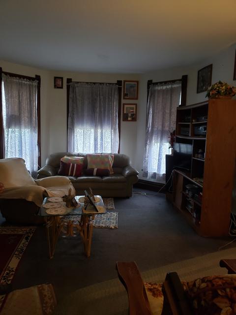56 N Commonwealth Ave, Elgin, IL 60123 photo 4