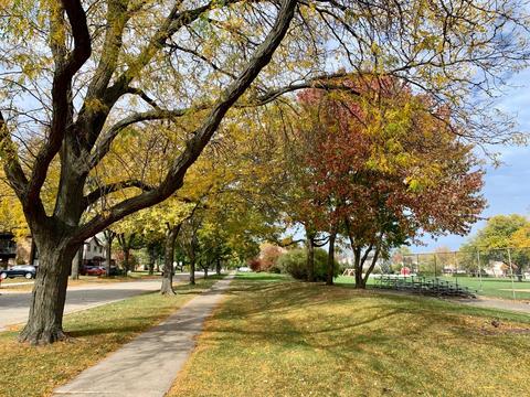 210 N Eighth Ave, Des Plaines, IL 60016 photo 32