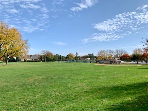 210 N Eighth Ave, Des Plaines, IL 60016 photo 31