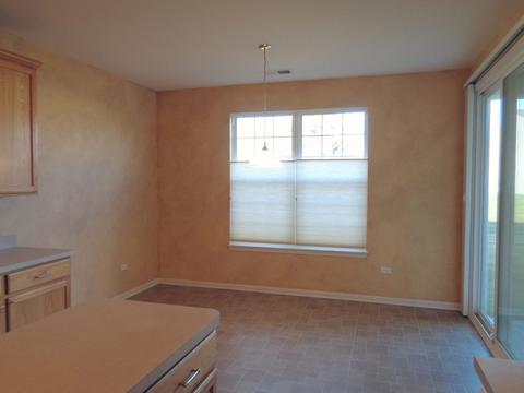 2522 Edgewater Dr, Elgin, IL 60124 photo 10
