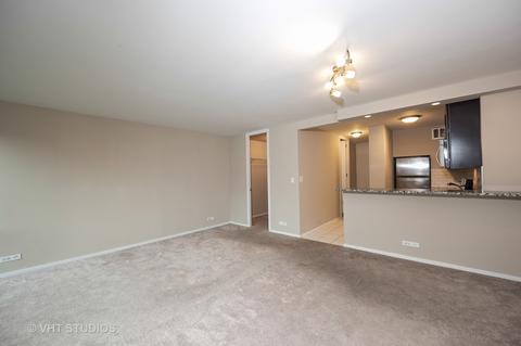 1 E Scott St #1002, Chicago, IL 60610 photo 6