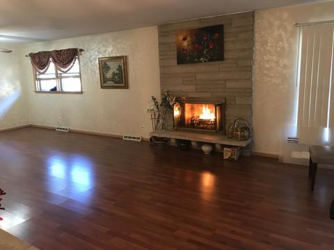 17262 William St, Lansing, IL 60438 photo 14