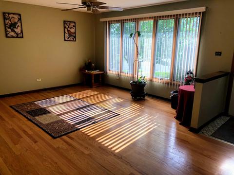 8471 S Octavia Ave, Bridgeview, IL 60455 photo 4