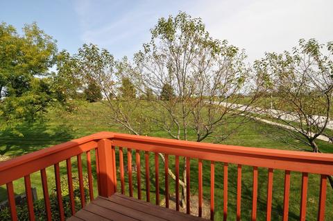 9202 W Pullman Ct, Mokena, IL 60448 photo 29