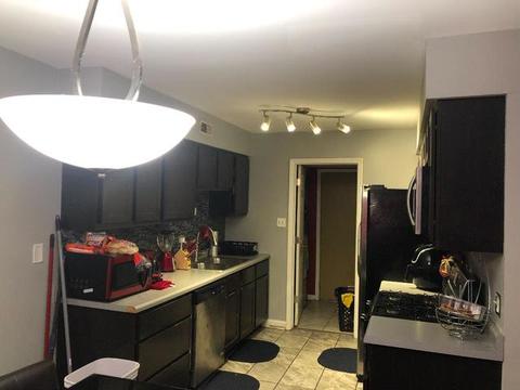 41 Red Barn Rd, Matteson, IL 60443 photo 6