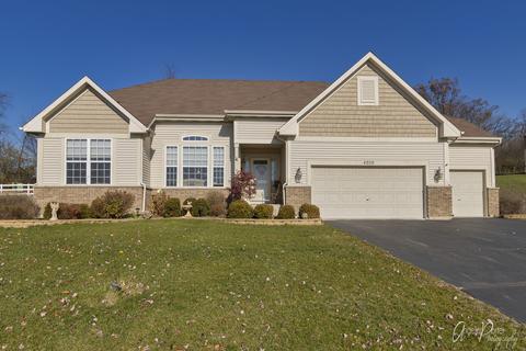 4206 Ella Ct, Johnsburg, IL 60051 photo 25