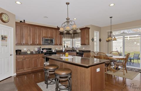 4206 Ella Ct, Johnsburg, IL 60051 photo 20
