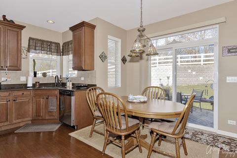 4206 Ella Ct, Johnsburg, IL 60051 photo 24