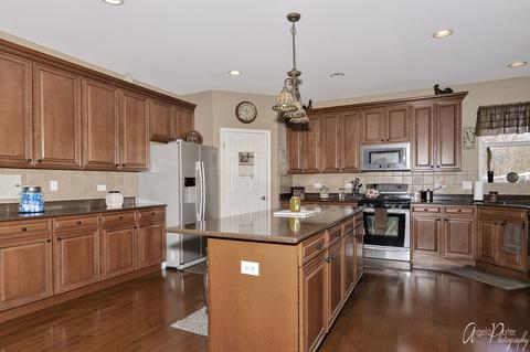 4206 Ella Ct, Johnsburg, IL 60051 photo 19