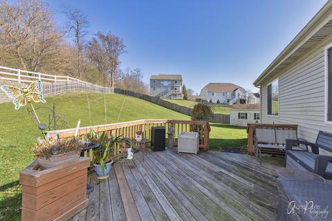 4206 Ella Ct, Johnsburg, IL 60051 photo 28