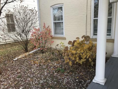 384 Spruce St, Aurora, IL 60506 photo 7