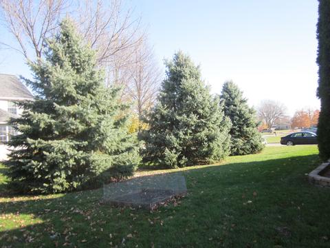 2602 Bryant Blvd, Peru, IL 61354 photo 30