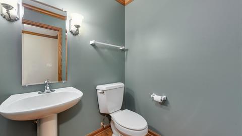 336 Pebble Beach Ln, Bartlett, IL 60103 photo 11