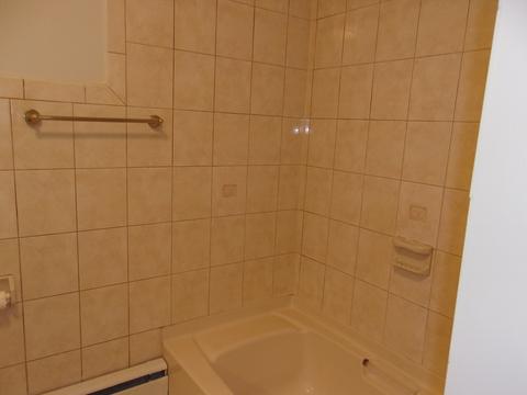 2916 S 11th Ave, Broadview, IL 60155 photo 11