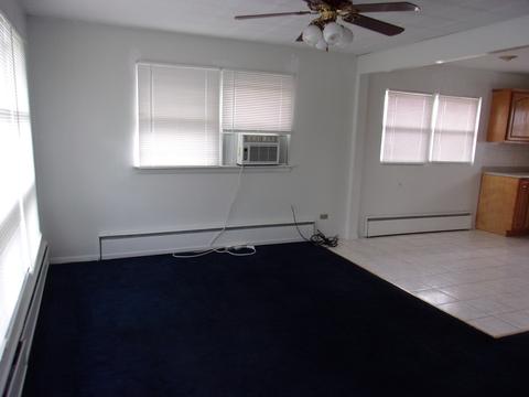 2916 S 11th Ave, Broadview, IL 60155 photo 4