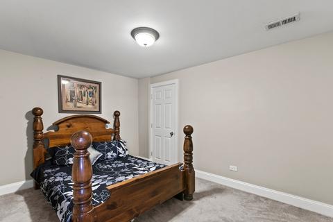 13005 Denise St, Plainfield, IL 60585 photo 25
