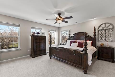 13005 Denise St, Plainfield, IL 60585 photo 16
