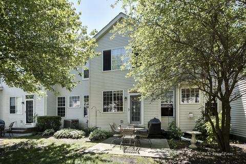 6 Rose Hill Ct, Algonquin, IL 60102 photo 19